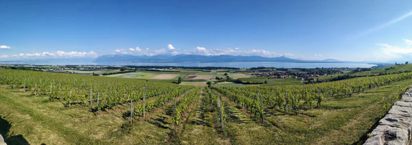 Lac Léman